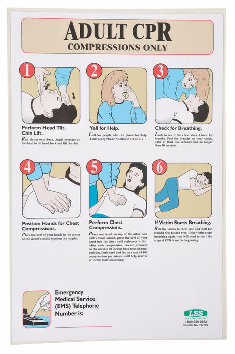 First Aid Poster 17 in x 11 in Plastic