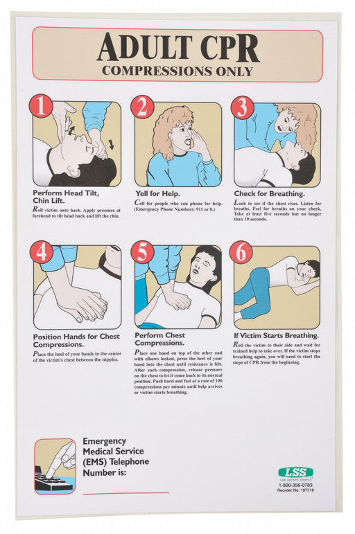 First Aid Poster 17 in x 11 in Plastic
