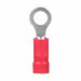 Ring Terminal PK 1000
