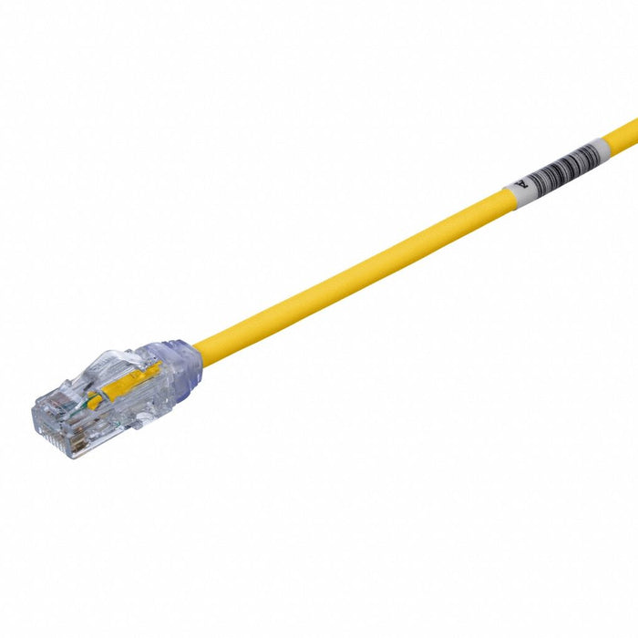 Voice and Data Patch Cord