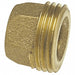 Straight Bronze Cup 1/2 in GHT 1/2 in