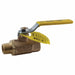 Manual 2-Way Ball Valve NPT Bronze