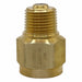 Snubber Porus Metal Brass 1/2 NPT Ma