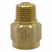 Snubber Porus Metal Brass 1/2 NPT Ma