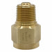 Snubber Porus Metal Brass 1/2 NPT Ma
