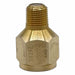 Snubber Porus Metal Brass 1/8 NPT Ma