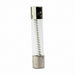 Time Delay Glass Tube Fuse 6/10 A PK100