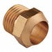 Air Gun Nozzle Brass 1/2 in