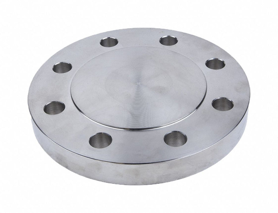 Blind Flange 316L SS 10 NPS