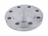 Blind Flange 316L SS 10 NPS