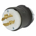 Locking Plug
