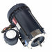 ExplosionProofMotor 2hp 3450RPM