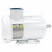 Feather Picker Motor 56HZ 3 hp