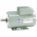 Agricultural Motors 145T 3 hp