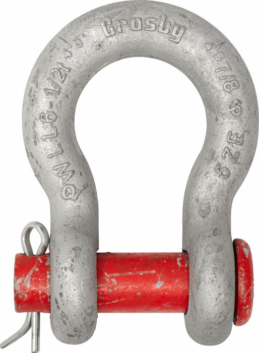Anchor Shackle 19 000 lb Carbon Steel