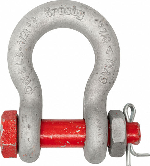 Anchor Shackle 80 000 lb Alloy Steel
