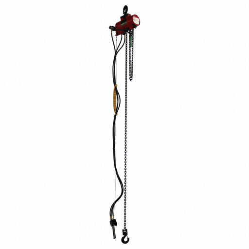 Air Chain Hoist Cap. 250 lb 10 ft
