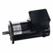 DC Permanent Magnet Motor 1.7 A