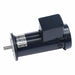 DC Permanent Magnet Motor 2.7 A