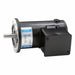 DC Permanent Magnet Motor 0.70 A