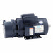 Brake Motor Capacitor-Start Rigid