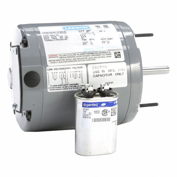 Farm Duty Motor 115/230V AC