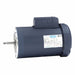 Pool and Spa Pump Motor 60 Hz