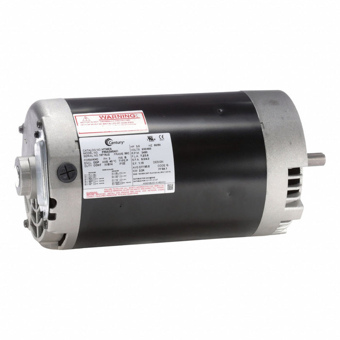 Pool and Spa Pump Motor 60 Hz