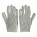 Inspection Gloves S 8 in Glove L PK12