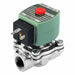 Solenoid Valve SS NC Air Inert Gas