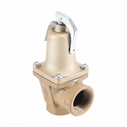 Pressure Relief Valve Iron 60 psi