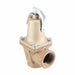Pressure Relief Valve Iron 60 psi