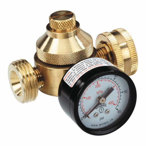 Pressure Regulator 3/4 In 10 to 60 psi
