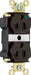 Receptacle 125V AC Black