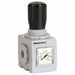 Regulator 1/4 in Aluminum 0.47 lb