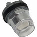 FlushPushButtn Illum NoLampIncluded 30mm