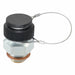 GN880-G1/2-ST-K OIL DRAIN VALVE STEEL