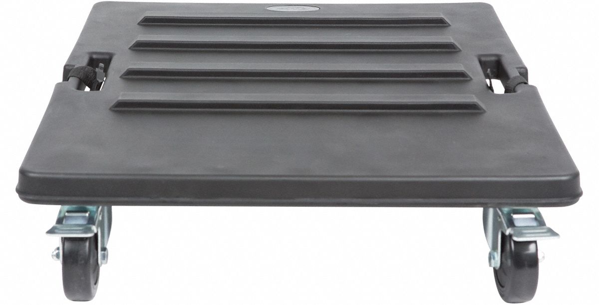 Case