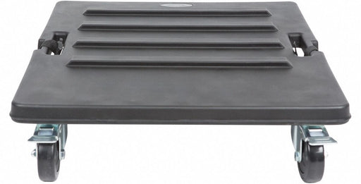 Case