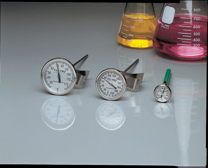 Bimetal Thermom 2 In Dial 50 to 500F