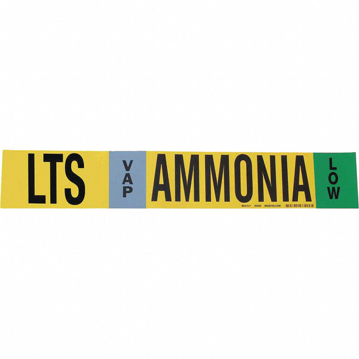 Pipe Marker Ammonia 4 in H 24 in W