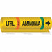 Pipe Marker Ammonia 9 in H 8 in W