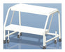Rolling Ladder Aluminum 19 In.H