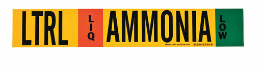 Pipe Marker Ammonia 4 in H 24 in W