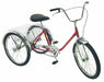 E3996 Tricycle 24 Wheel Orange 275 lb Cap.