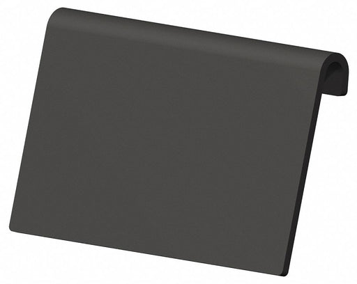 LabelHolder 4inL 2.375inW Black PK24