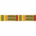 Pipe Marker Ammonia 1 1/8in H 7in W