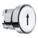 Flush Push Button White Non-Illum 22mm