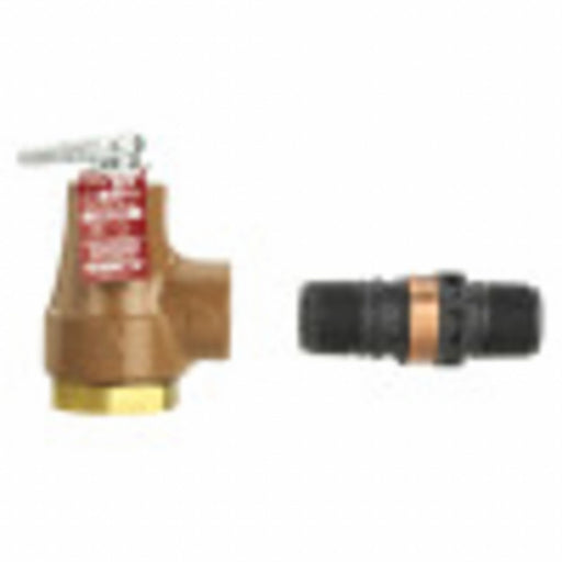 Temperature and Pressure Relief Valve