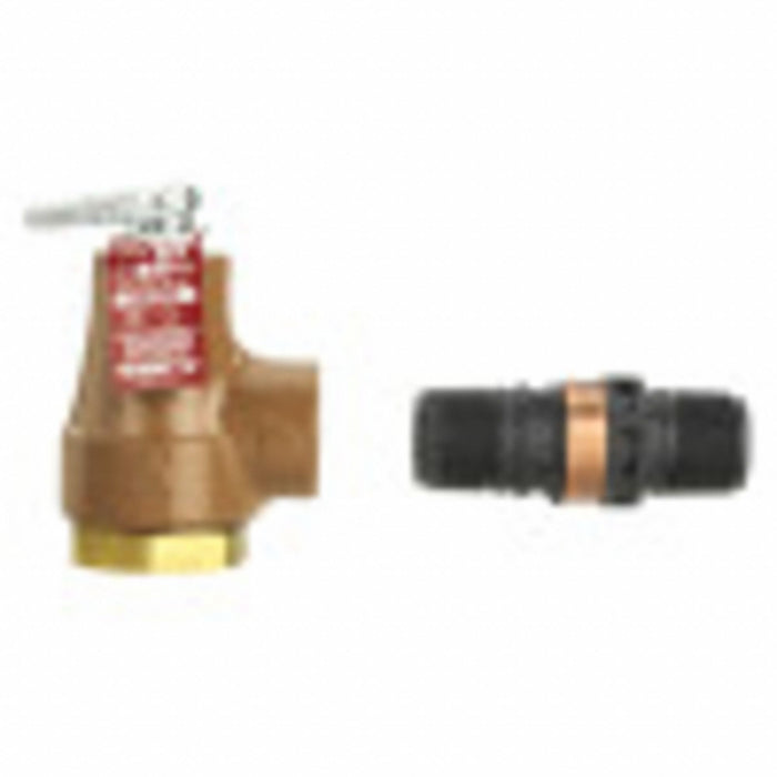 Temperature and Pressure Relief Valve